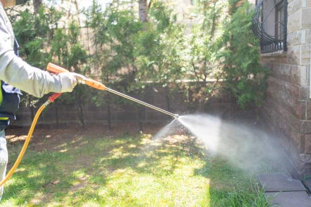 Indoor Pest Control in Ponchatoula, LA